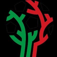 3ra División Mx-Apertura