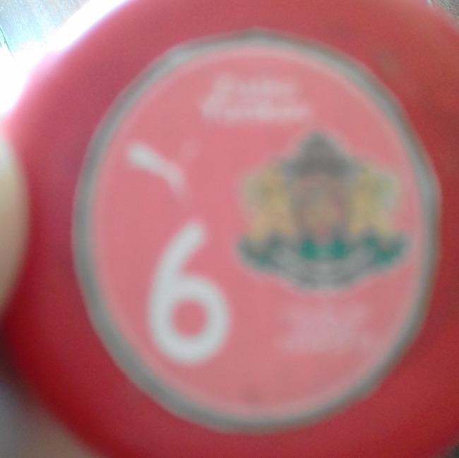 6-Slato Yankov