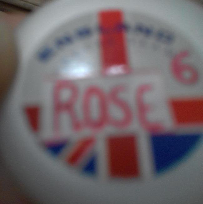 6--The Rose