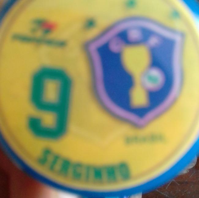 9-Serginho