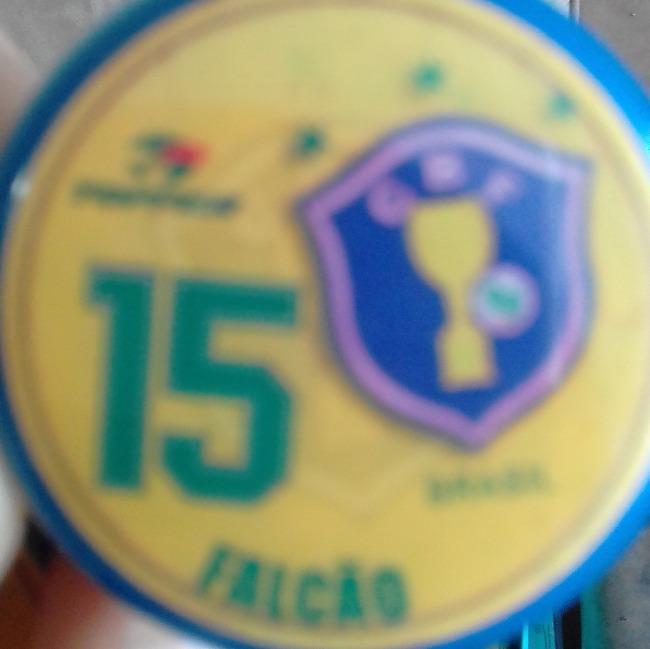 15-Falcão