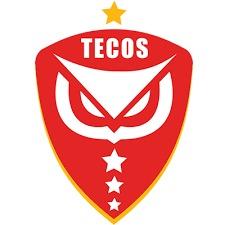 Tecos