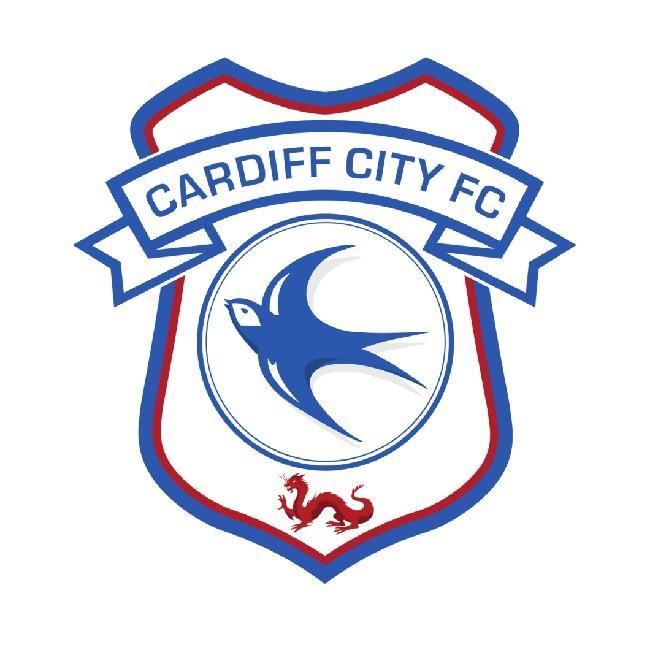CARDIFF CITY