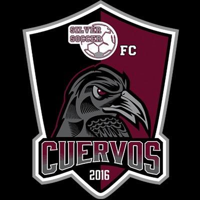 Cuervos de Silver Soccer