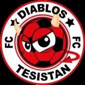 Diablos Tesistan FC