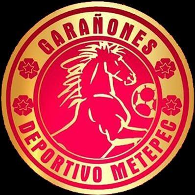 Deportivo Metepec