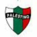 Palestino