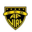 Fernandez Vial