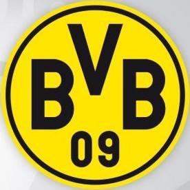 🇩🇪 Borussia Dortmund