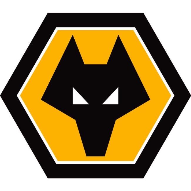 WOLVERHAMPTON (Dany)