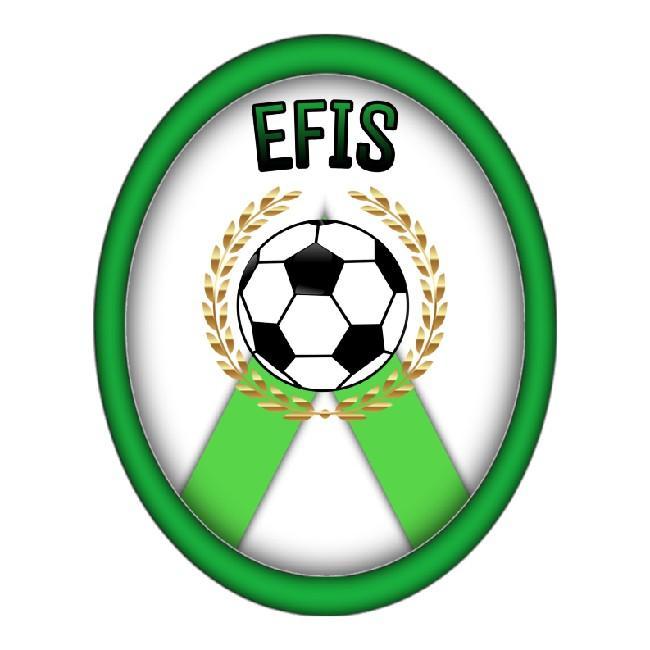 EFIS