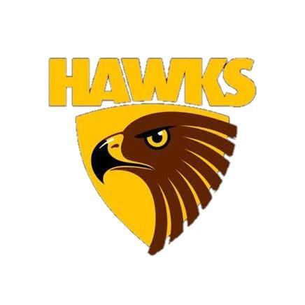 Hawks E-Sports