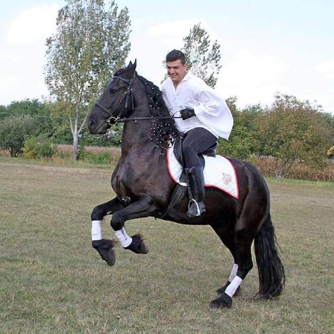 Kremniczki Ferenc