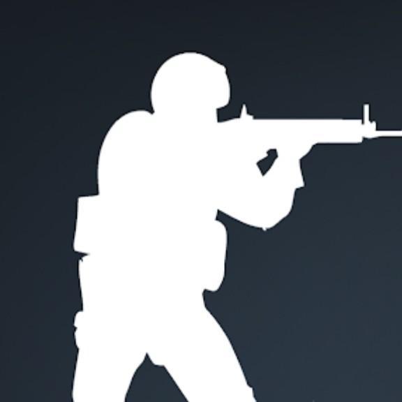 Counter Strike divison 1