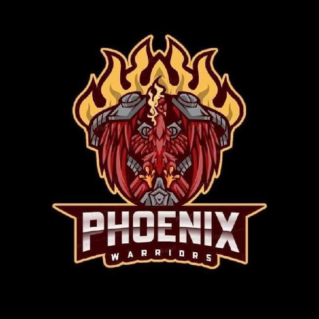 The Phoenix Warriors