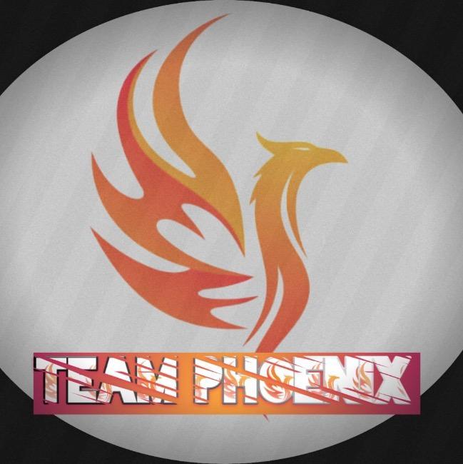 Team Phoenix