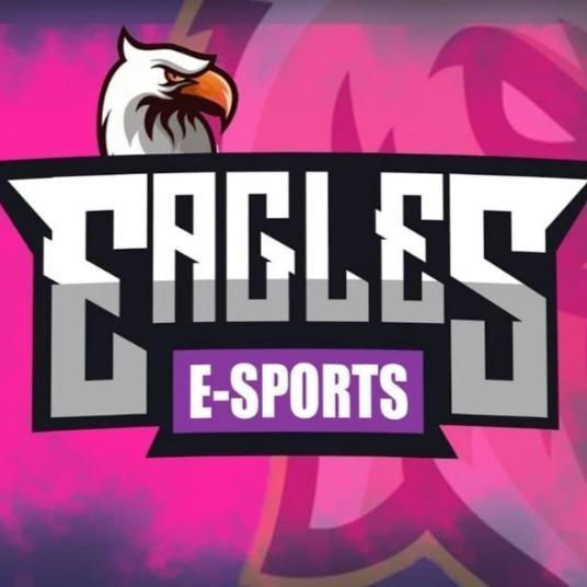 Eagle's Academy