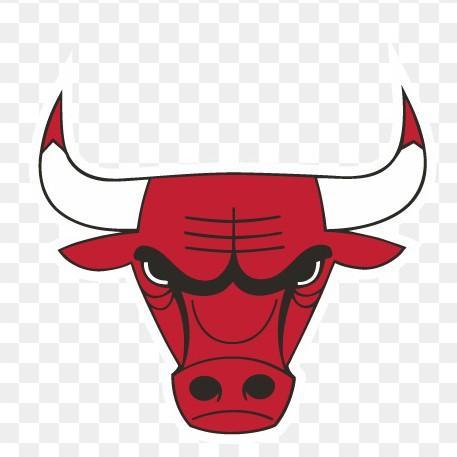 Chicago Bulls