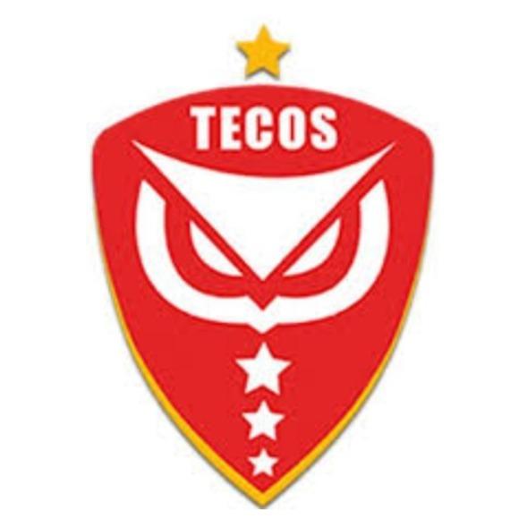 Tecos