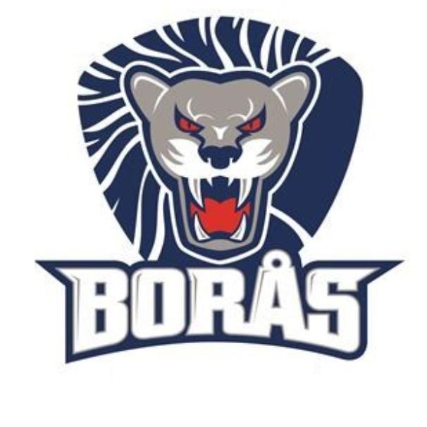 Borås