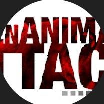 When Animalz Attack