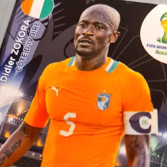 Didier Zokora