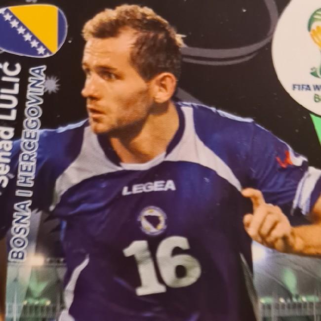 Senad Lulić