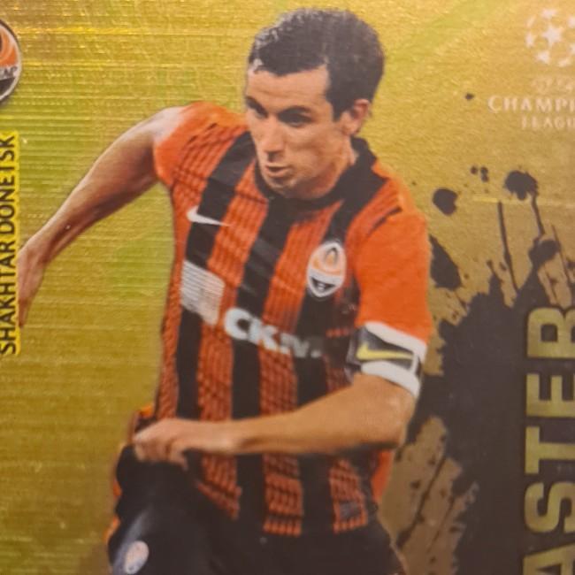 Darijo Srna