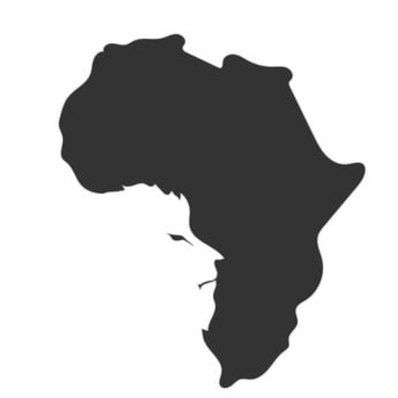 FMS ÁFRICA