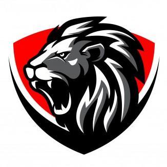 Dinamo Roko