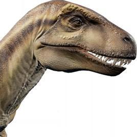 Acrocanthosaurus