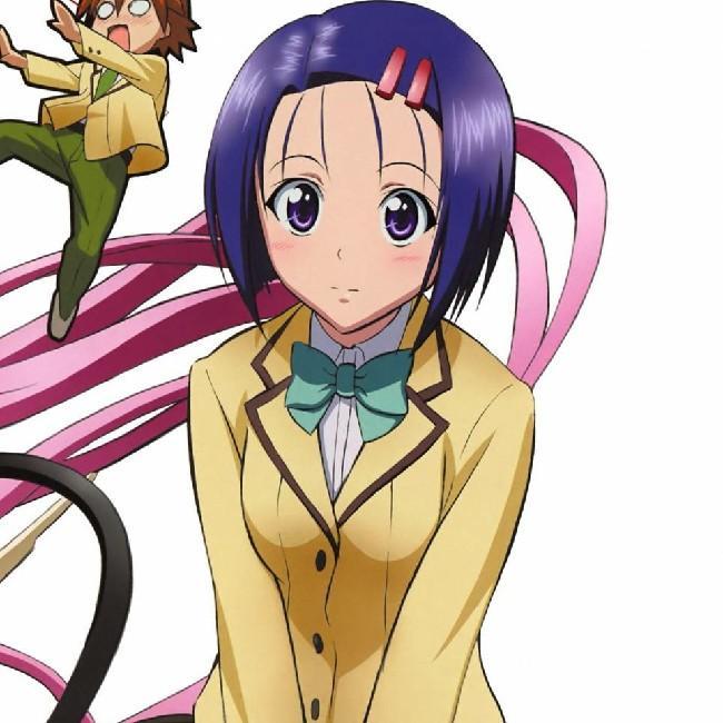Haruna Sairenji
(To LOVE Ru)