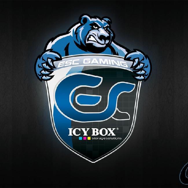 ESC Gaming