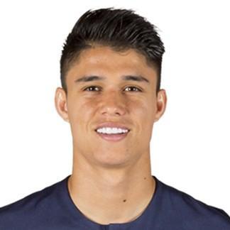 Luiz Araujo