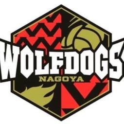 Wolfdogs Nagoya