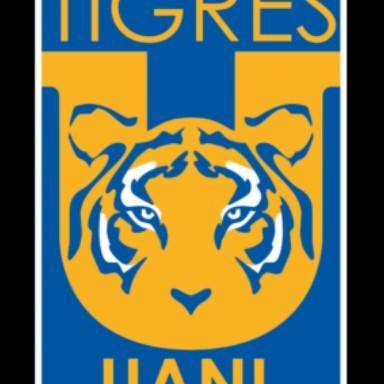 Tigre de Holmberg