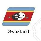 🇸🇿 Eswatini