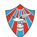 Valur