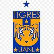 Tigres