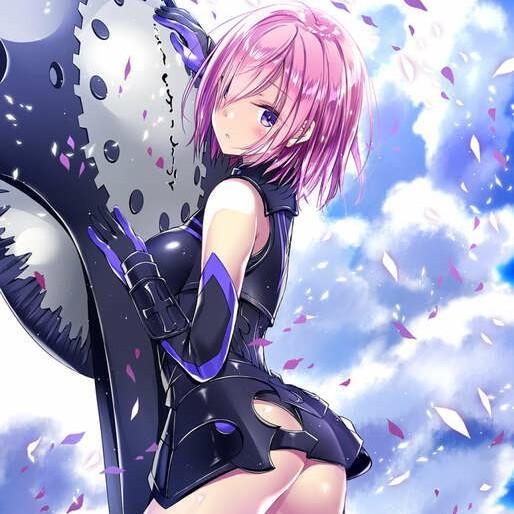 Mash Kyrielight
(Fate/Grand Order)
