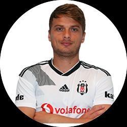 Adem Ljajić