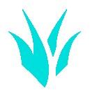 G2 'Jankos 🇵🇱 ⭐