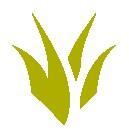 MSF 'Razork 🇪🇸