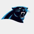 Panthers Logo