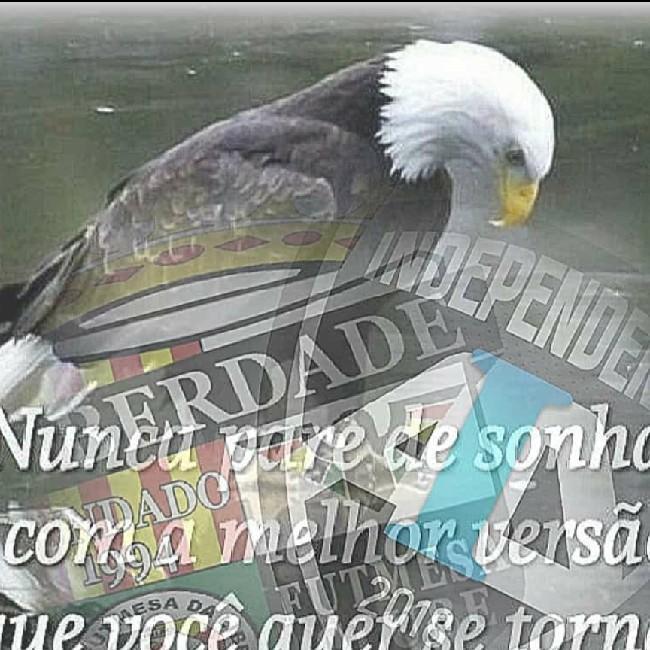 Xxccc