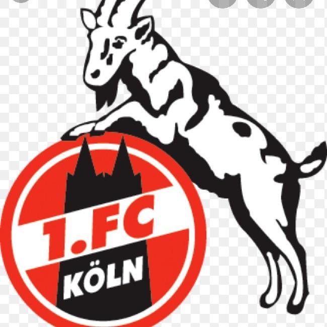 Koln