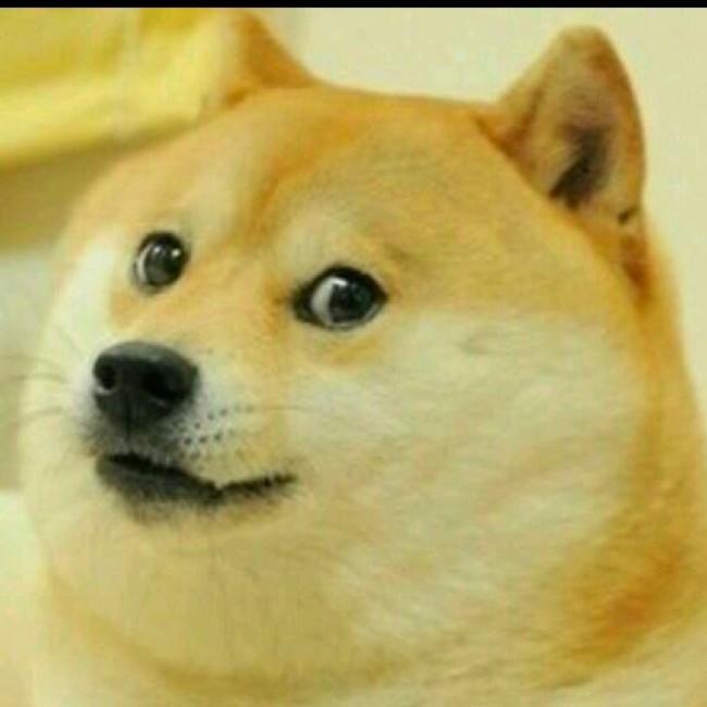 Doge
