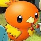 Torchic