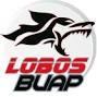 Lobos BUAP