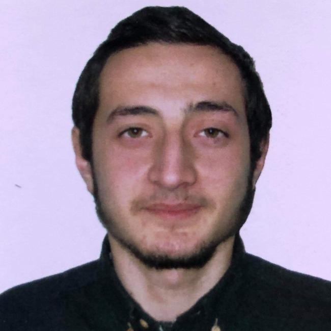 ნიკა წიკლაური